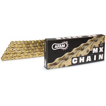 AFAM 520MX6 100 ARS (CLIP) GOLD